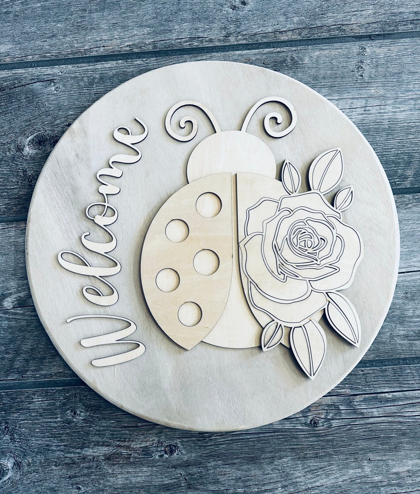 Take & Paint DIY Wooden Sign Kit - Welcome Ladybug