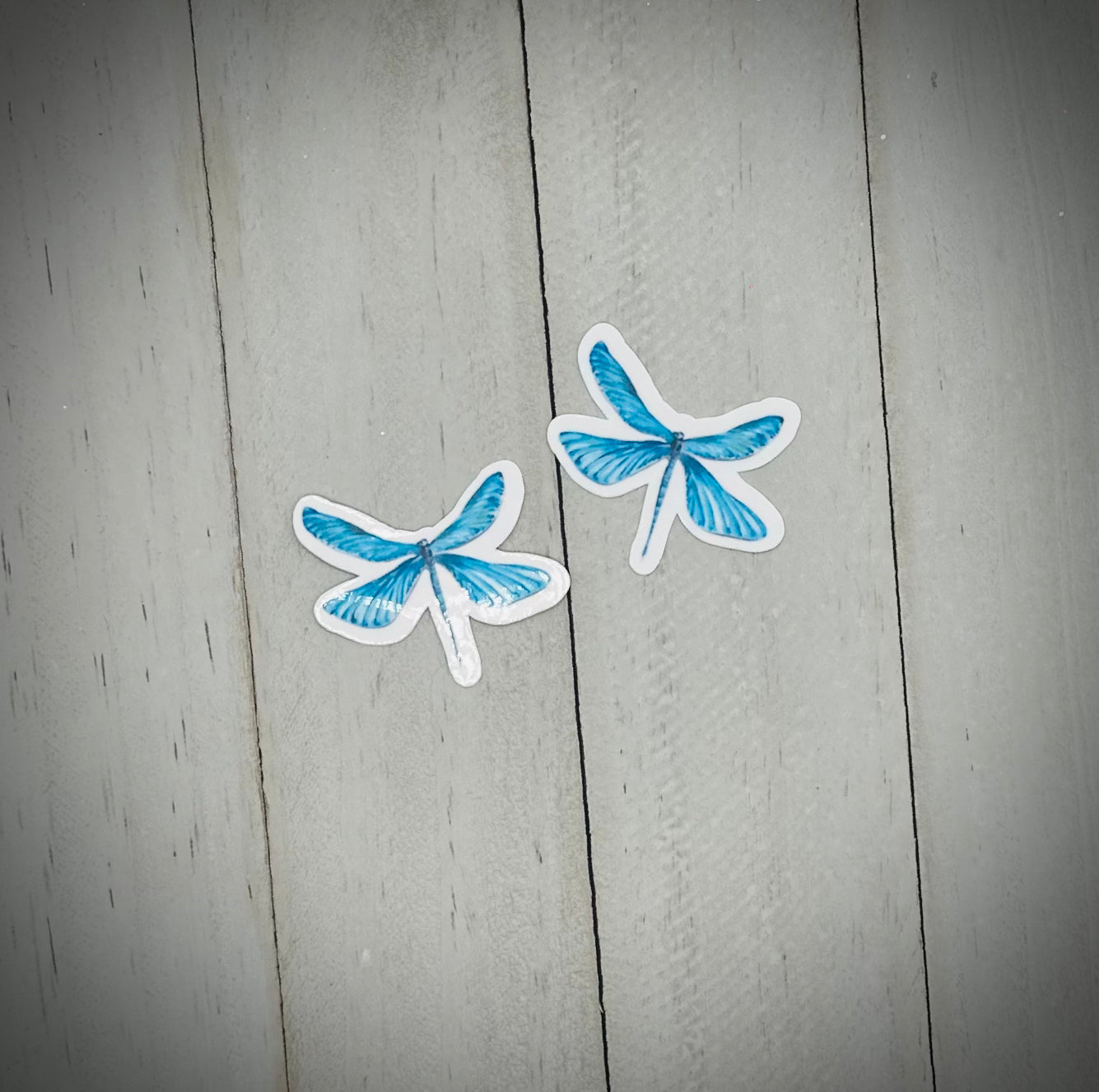 Dragonfly - Sticker